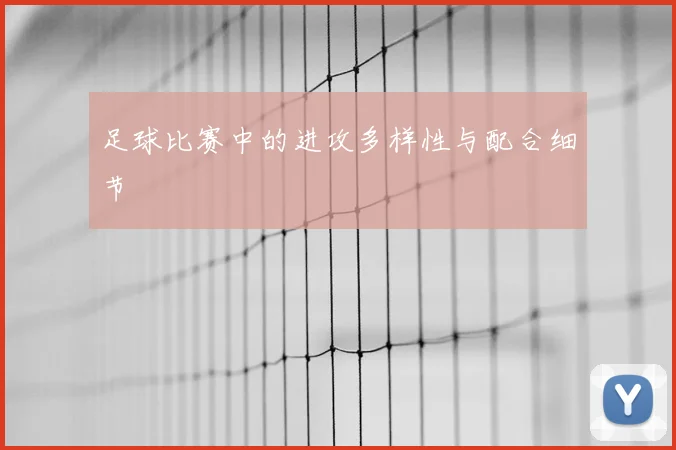 足球比赛中的进攻多样性与配合细节